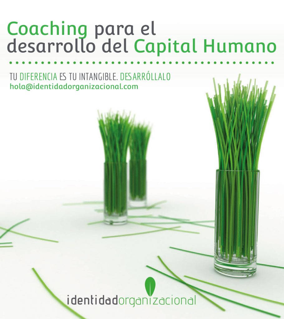 Coaching para el Desarrollo del Capital Humano